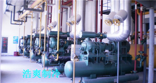 天津防爆型冷庫工程中的網絡系統 設計與安裝要點解析